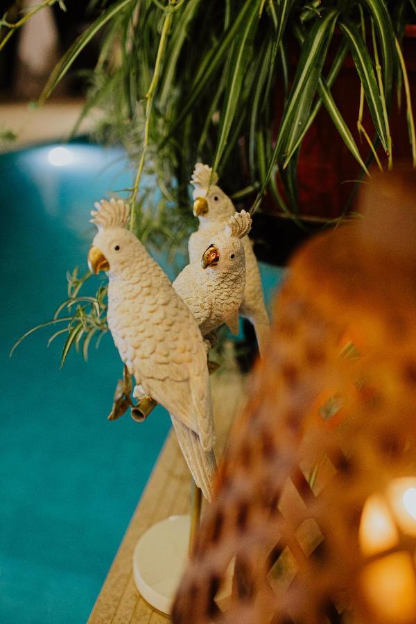 El Jardin De Gala Βίλα Castejon de Monegros Εξωτερικό φωτογραφία