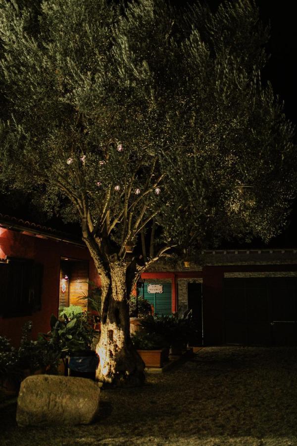 El Jardin De Gala Βίλα Castejon de Monegros Εξωτερικό φωτογραφία
