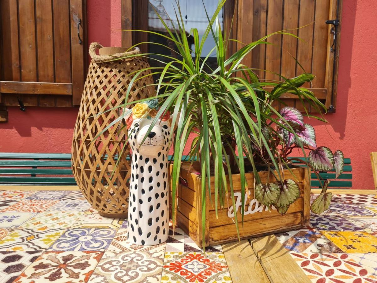 El Jardin De Gala Βίλα Castejon de Monegros Εξωτερικό φωτογραφία