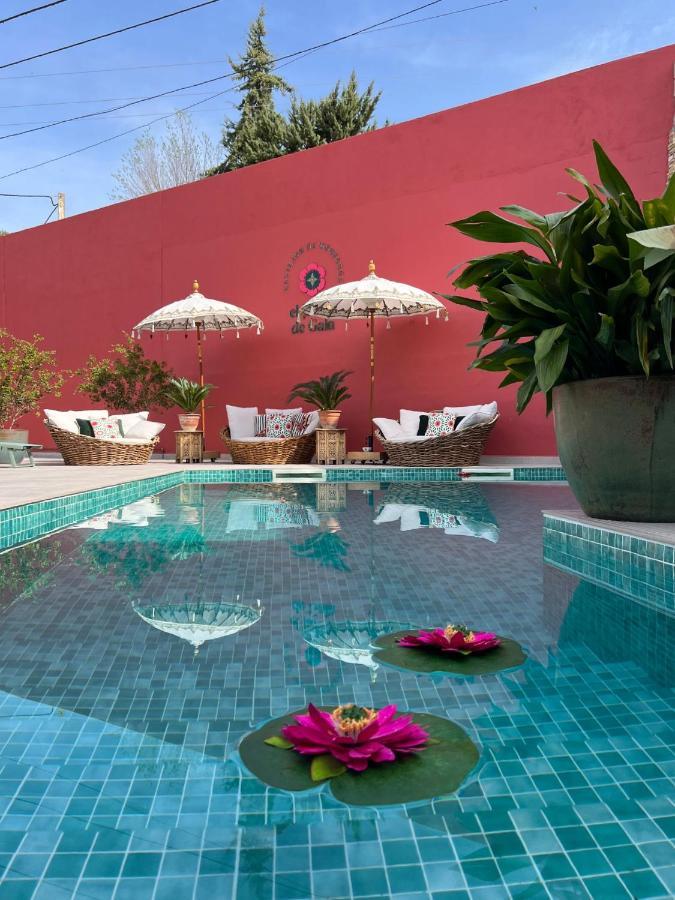 El Jardin De Gala Βίλα Castejon de Monegros Εξωτερικό φωτογραφία